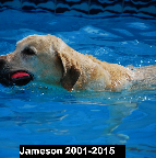 Jameson Munjack 2001--2015